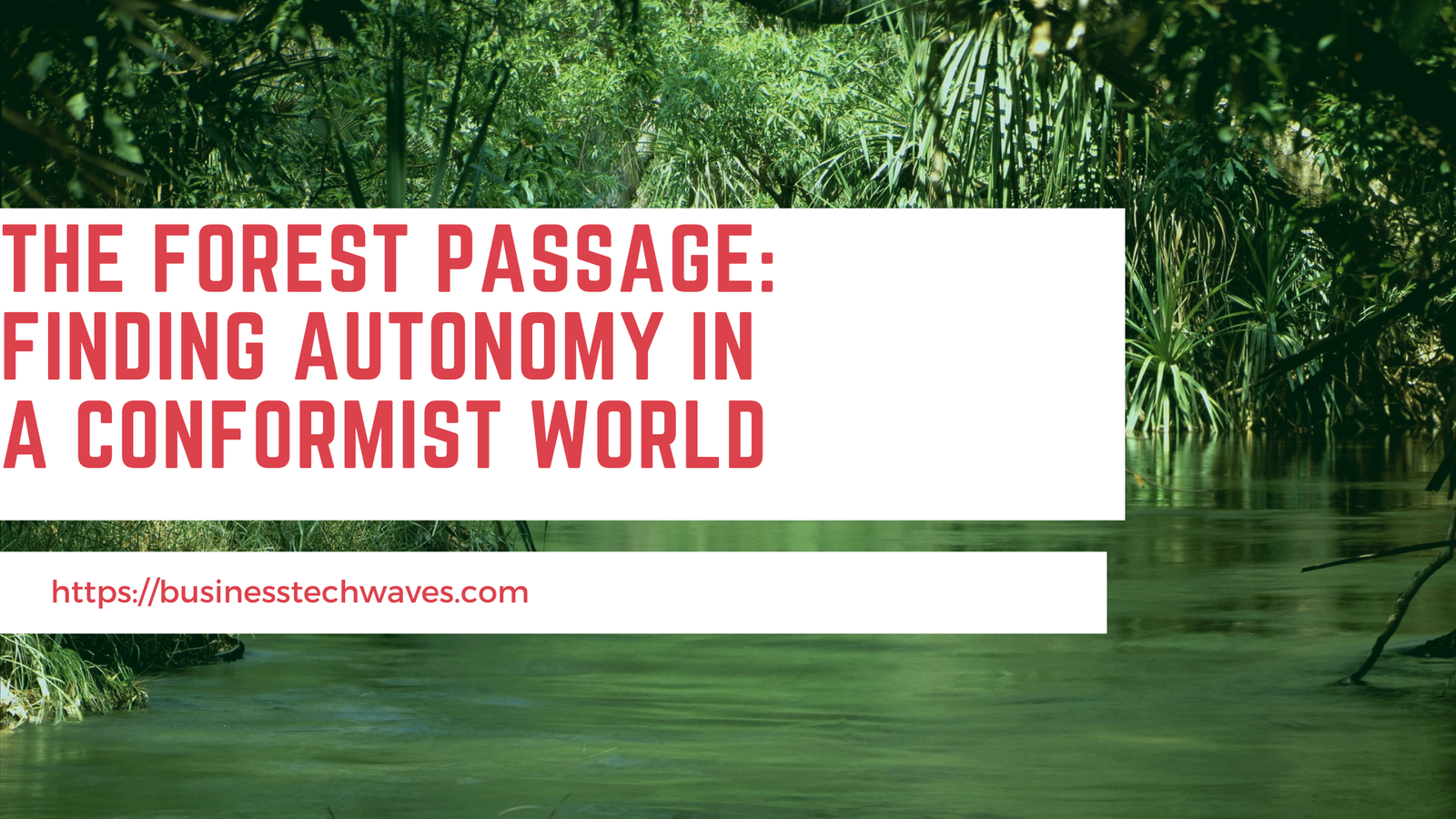 The Forest Passage: The Best Finding Autonomy in a Conformist World in 2024