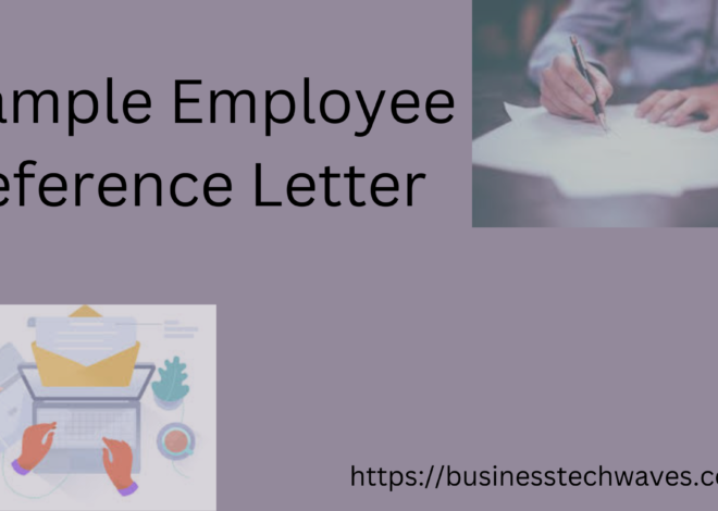 Best Example Employee Reference Letter 2024